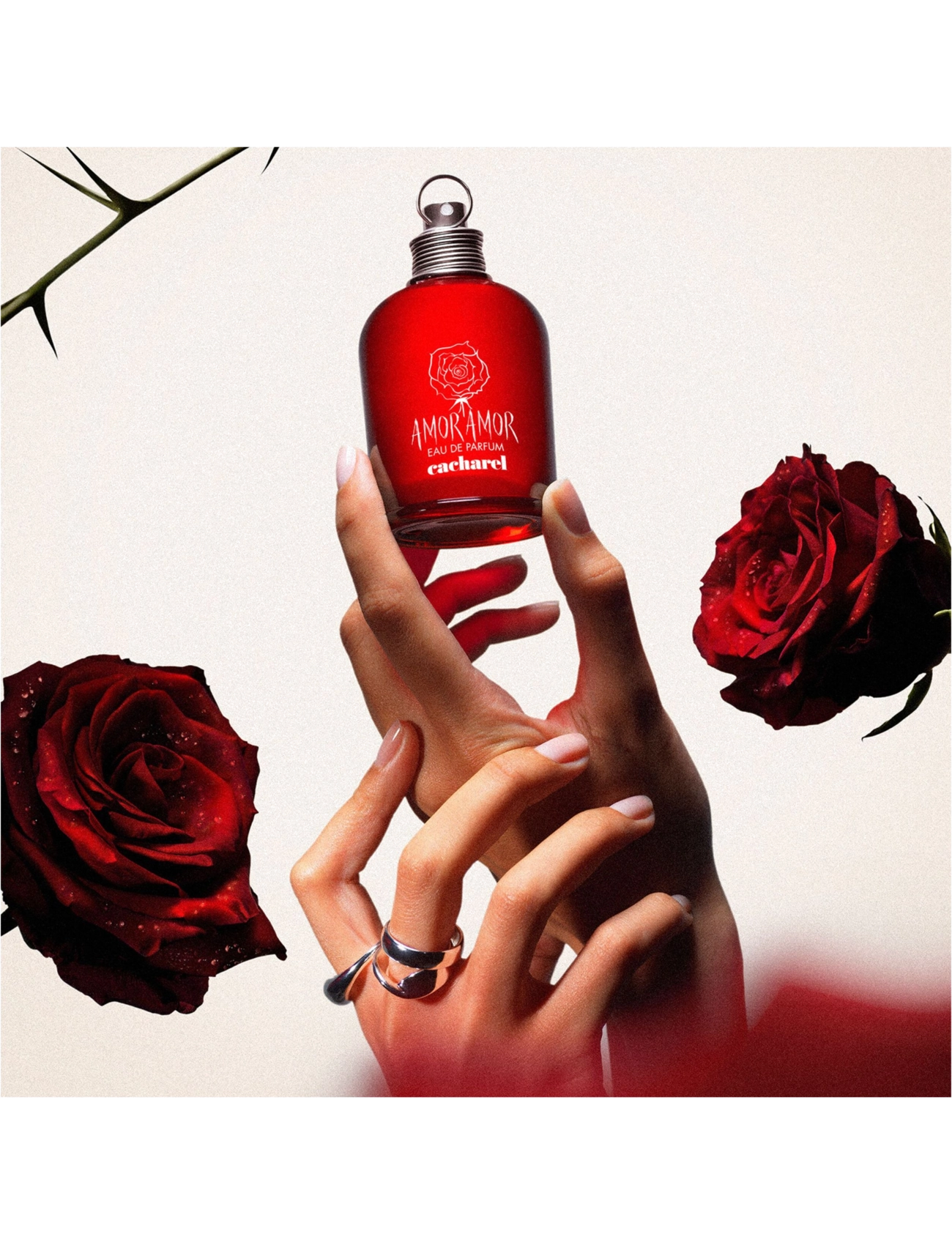 Cacharel - CACHAREL Amor Amor Eau de parfume 30 ML - handa henni  - clear - 2