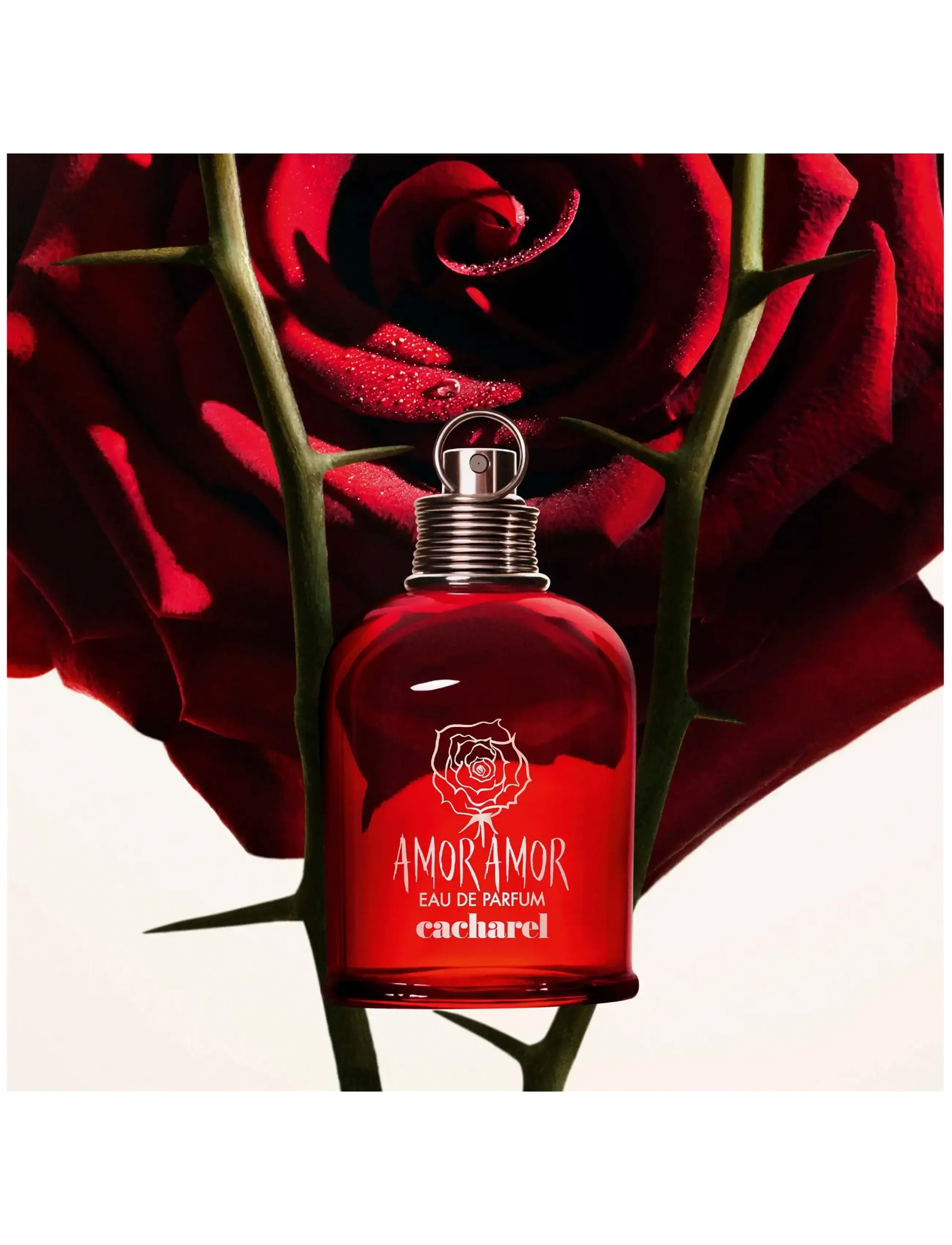 Cacharel - CACHAREL Amor Amor Eau de parfume 30 ML - til hende  - clear - 3