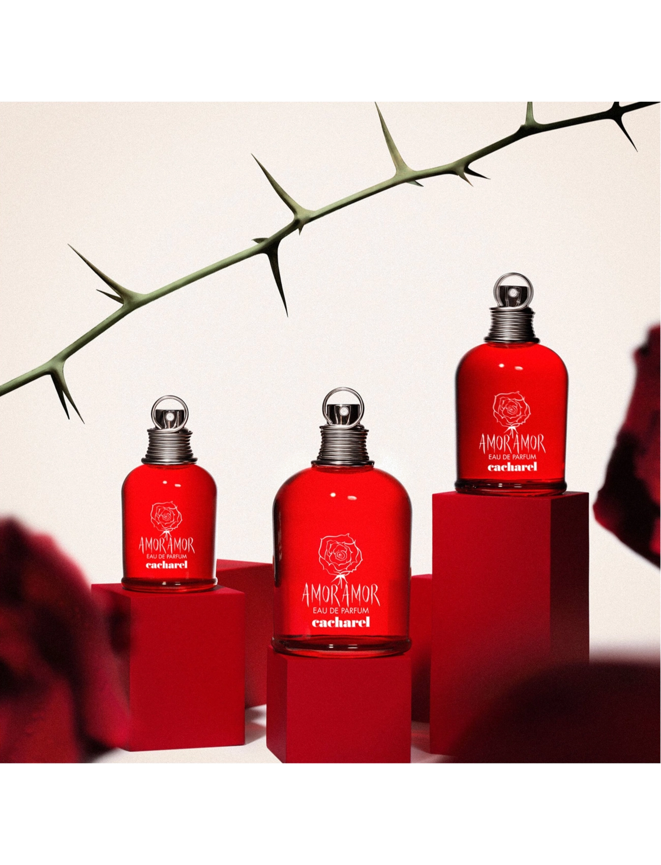 Cacharel - CACHAREL Amor Amor Eau de parfume 30 ML - handa henni  - clear - 5