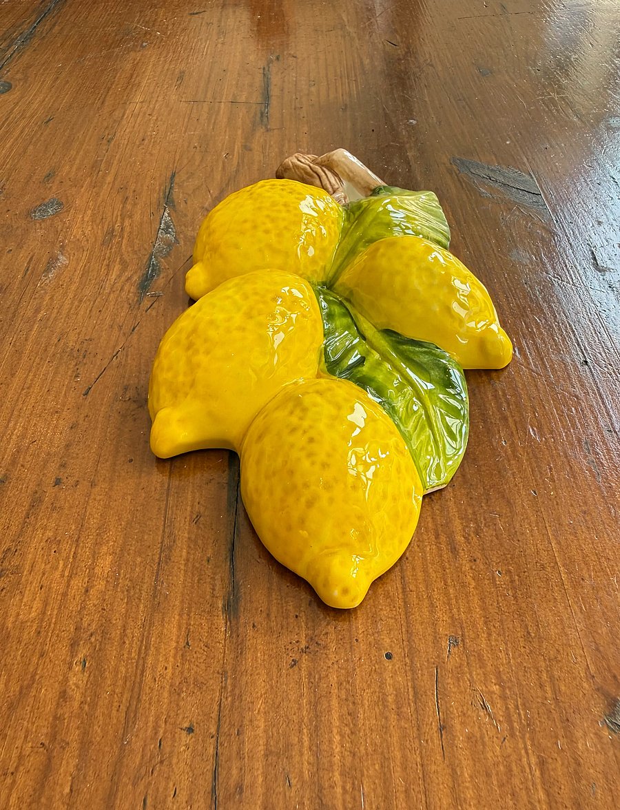Caja Company - Lemon decoration on branch, for hanging - wand dekoration - yellow/green/braun - 2