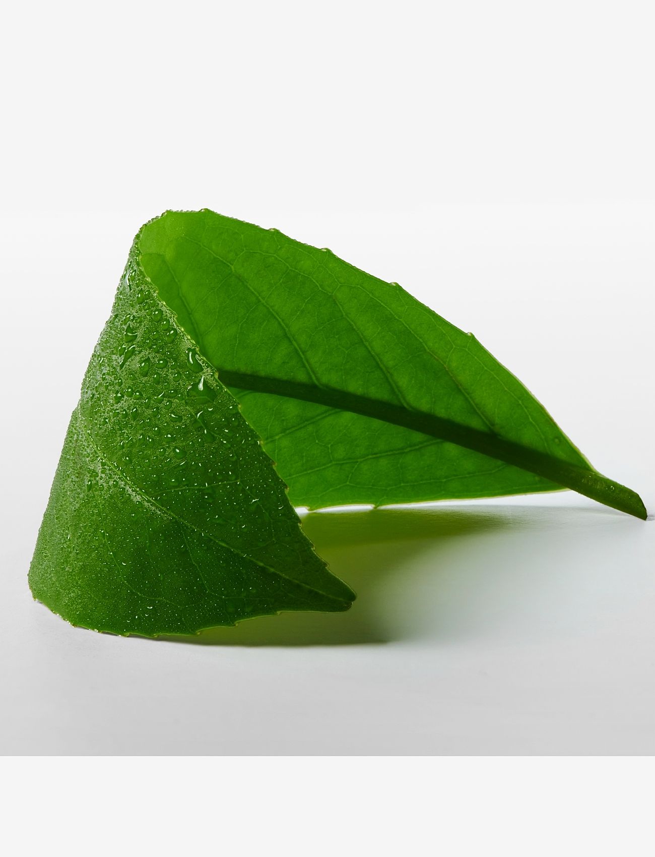 Calvin Klein - Calvin Klein ck One Essence Eau de parfum 50 ML - till honom  - clear - 4