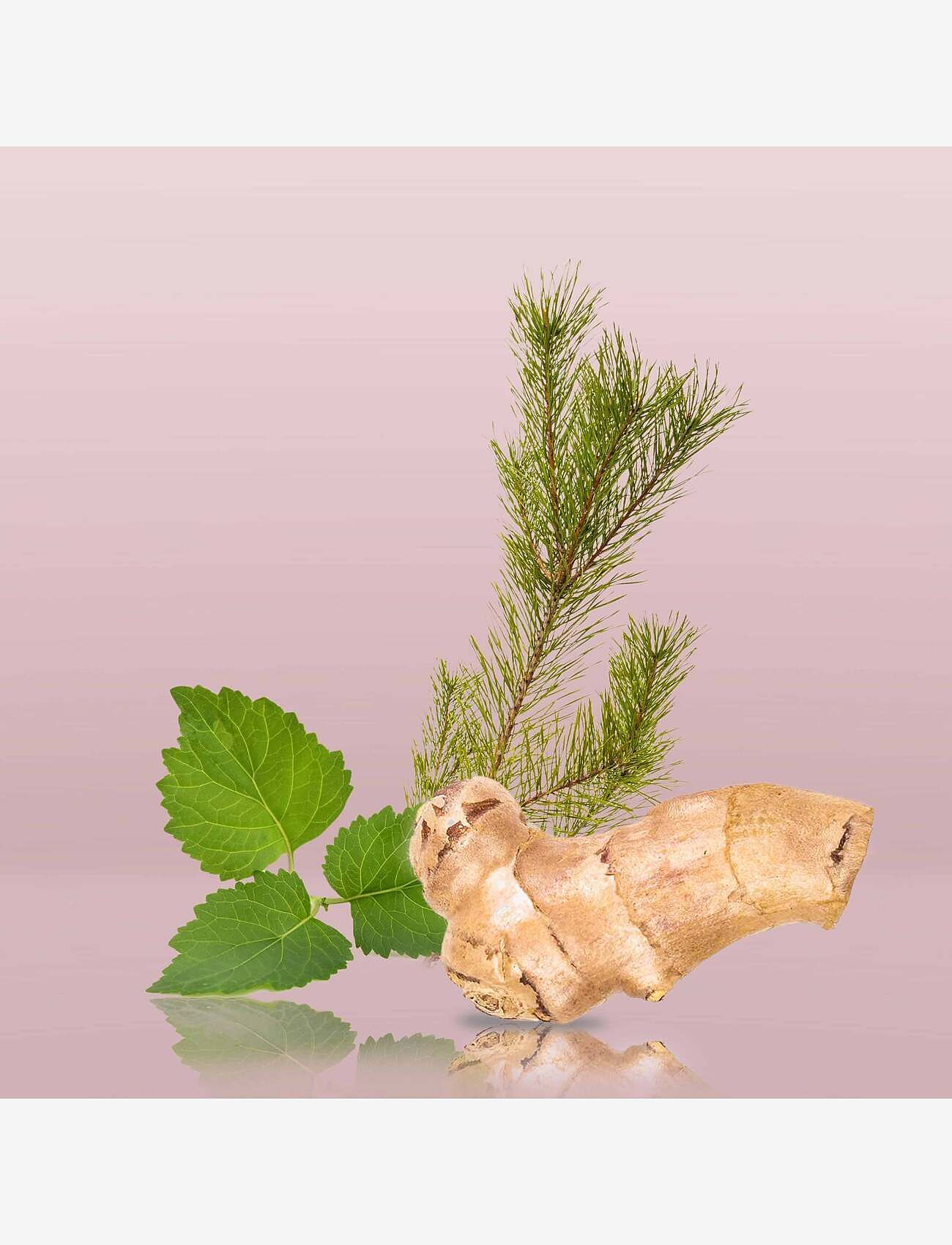 Calvin Klein - EUPHORIA MAN EAU DE TOILETTE - miehille  - clear - 5