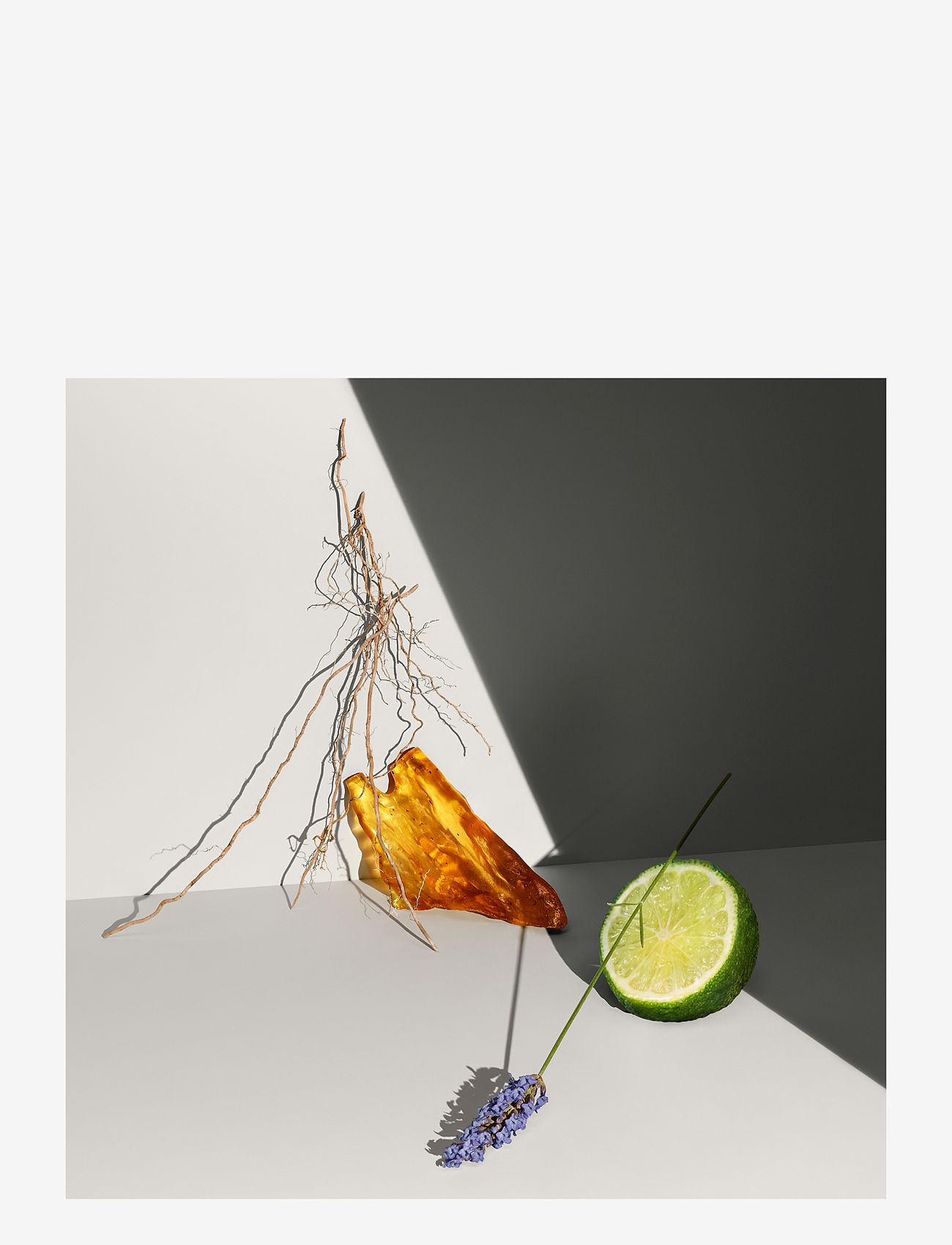 Calvin Klein - DEFY DEDORANT SPRAY - clear - 1