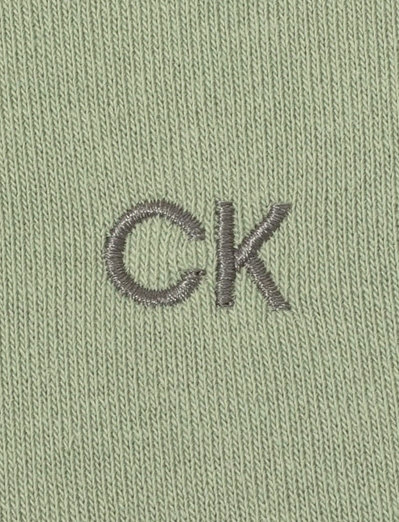 Calvin Klein Golf - ROCKY HALF ZIP SWEATSHIRT - overdele - sage - 3