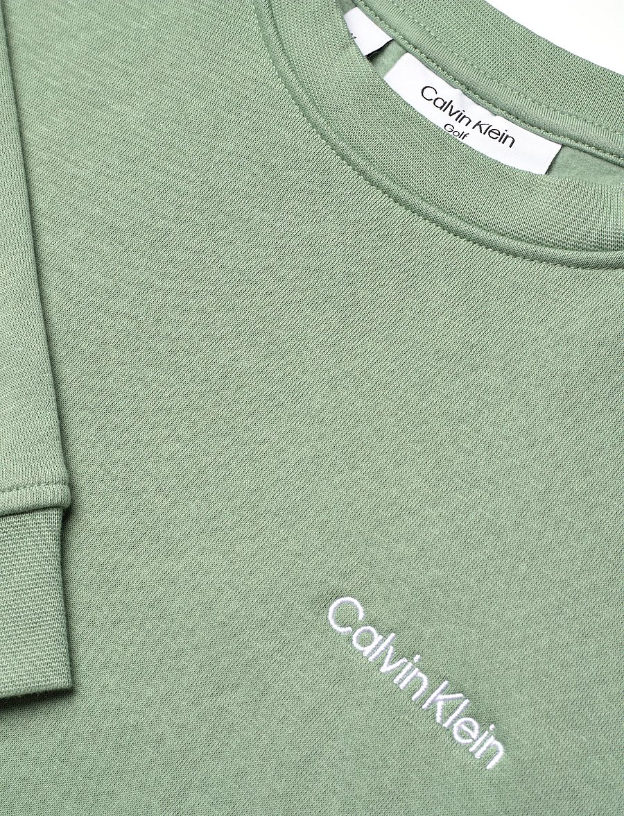 Calvin Klein Golf - WEST LAKE CREW SWEATSHIRT - oberteile - sage - 2