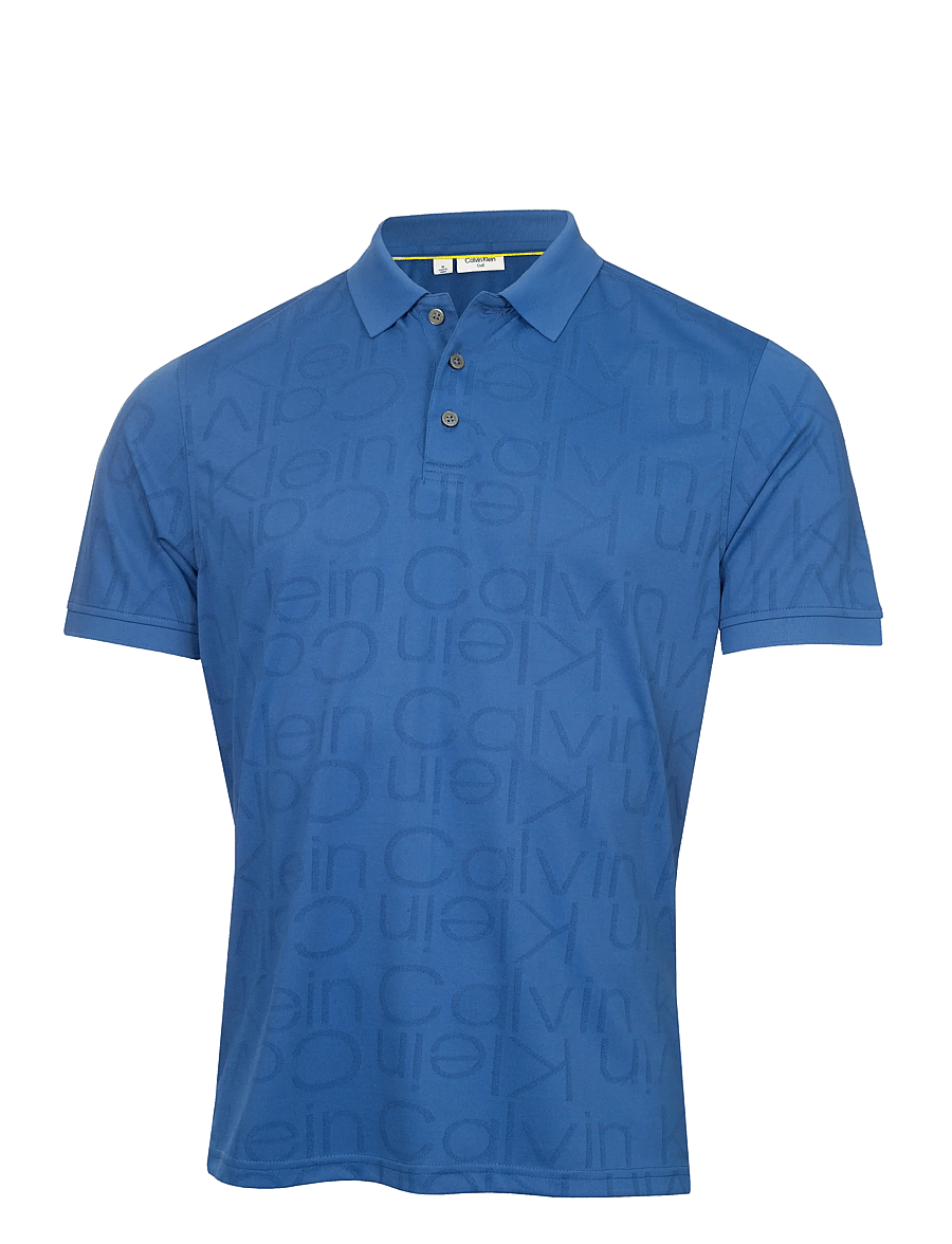 Calvin Klein Golf - AVONDALE POLO - oberteile & t-shirts - bluhib - 1
