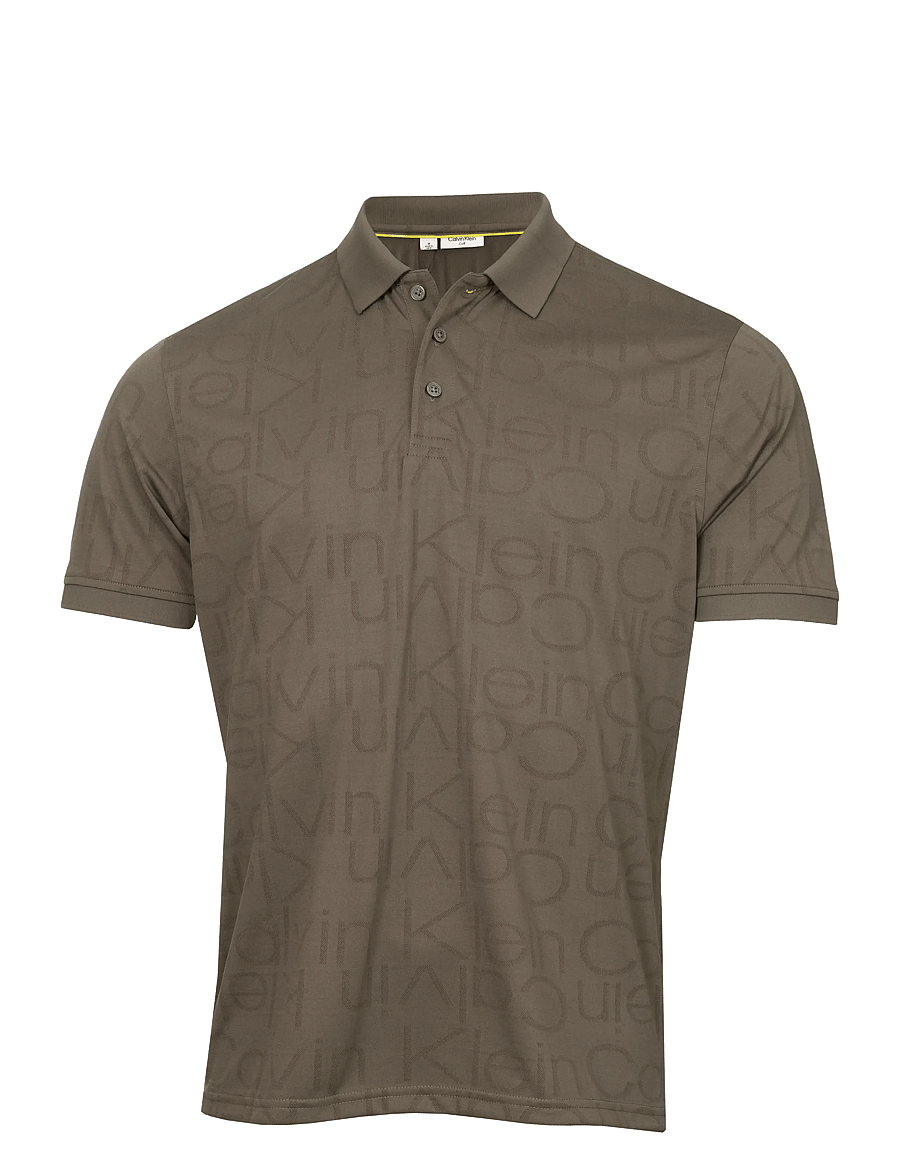 Calvin Klein Golf - AVONDALE POLO - oberteile & t-shirts - cdrbrn - 1