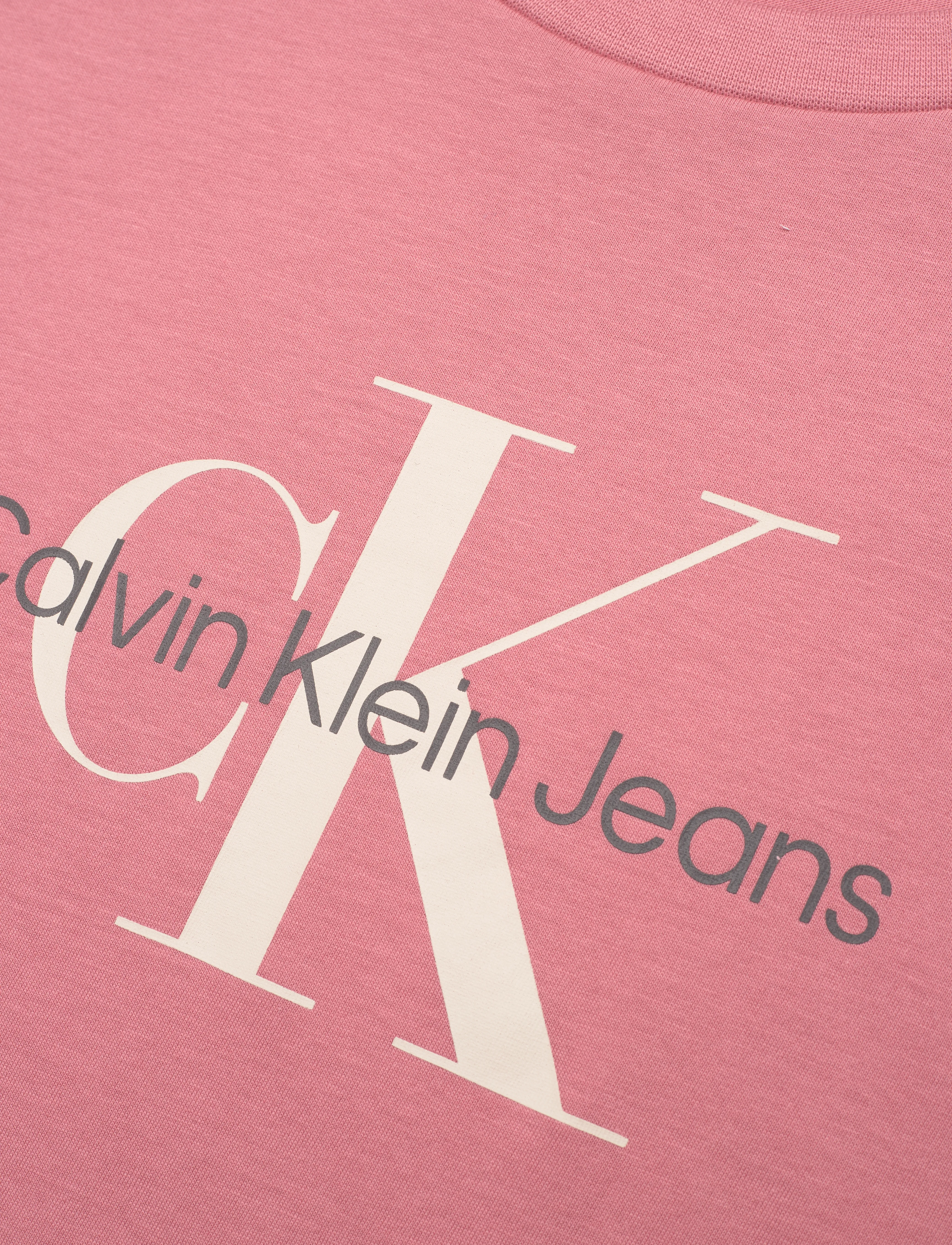 Calvin Klein Jeans - SS MONOLOGO CREWNECK TEE - dusty rose - 2