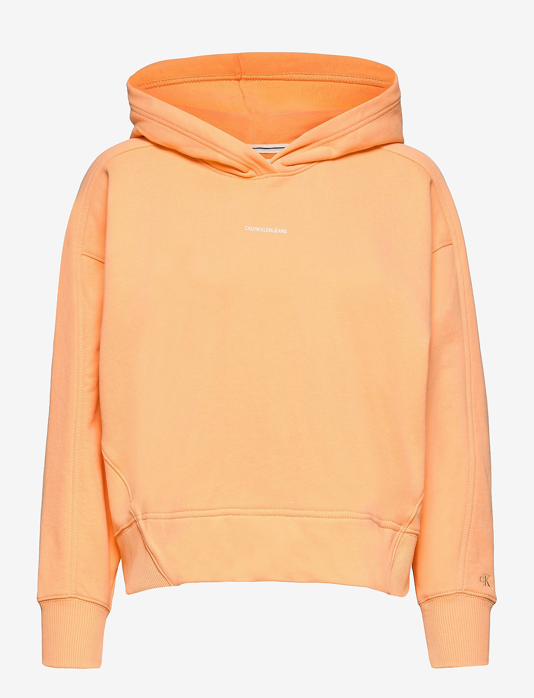Microbranding hoodie 2025