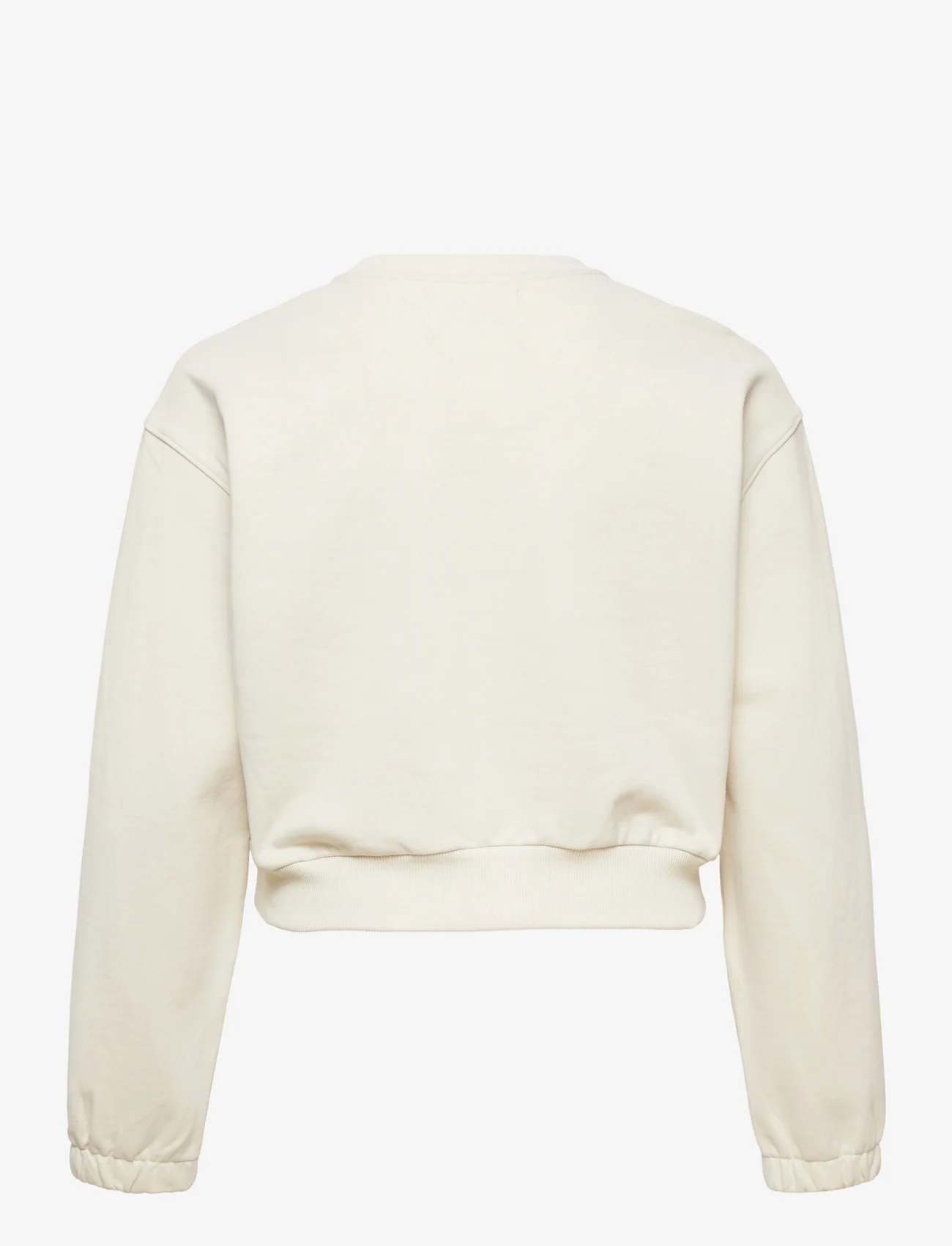 Calvin Klein Jeans - PLUS TWO TONE MONOGRAM CREW NECK - sweatshirts - eggshell - 1