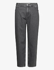Calvin Klein Jeans - MOM JEAN PLUS - mamų džinsai - denim grey - 0