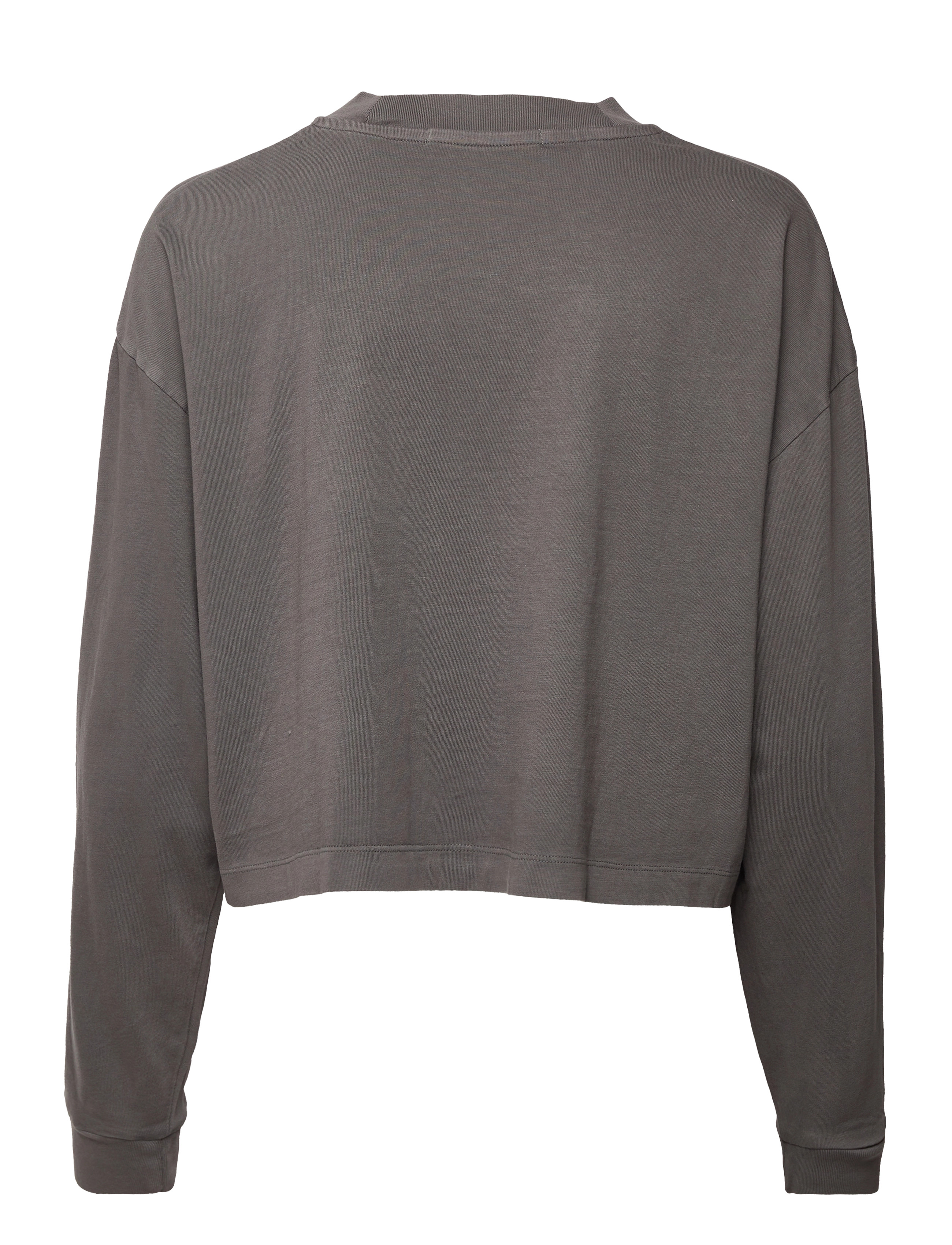 Calvin Klein Jeans - MONOLOGO WASHED LONG SLEEVES TEE - industrial grey - 1