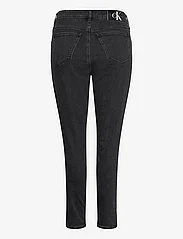 Calvin Klein Jeans - HIGH RISE SKINNY PLUS - pillifarkut - denim black - 1