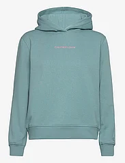 Calvin Klein Jeans - INSTITUTIONAL REGULAR HOODIE - hoodies - arctic/neon pink - 0