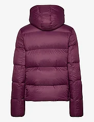 Calvin Klein Jeans - MW DOWN ARCHETYPE SHORT PUFFER - winter jackets - amaranth - 1