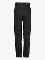 Calvin Klein Jeans - AUTHENTIC SLIM STRAIGHT - džinsa bikses ar taisnām starām - denim black - 1