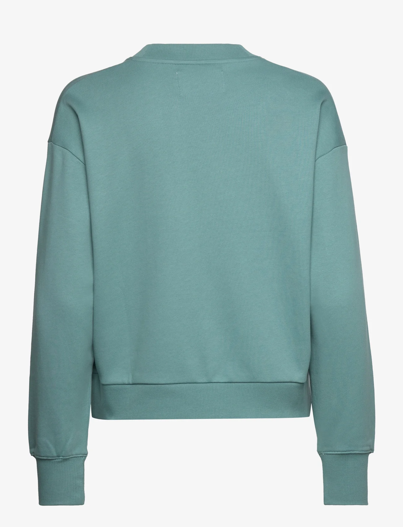 Calvin Klein Jeans - FUTURE FADE SLOGAN CREW NECK - sportiska stila džemperi un džemperi ar kapuci - arctic/neon pink - 1