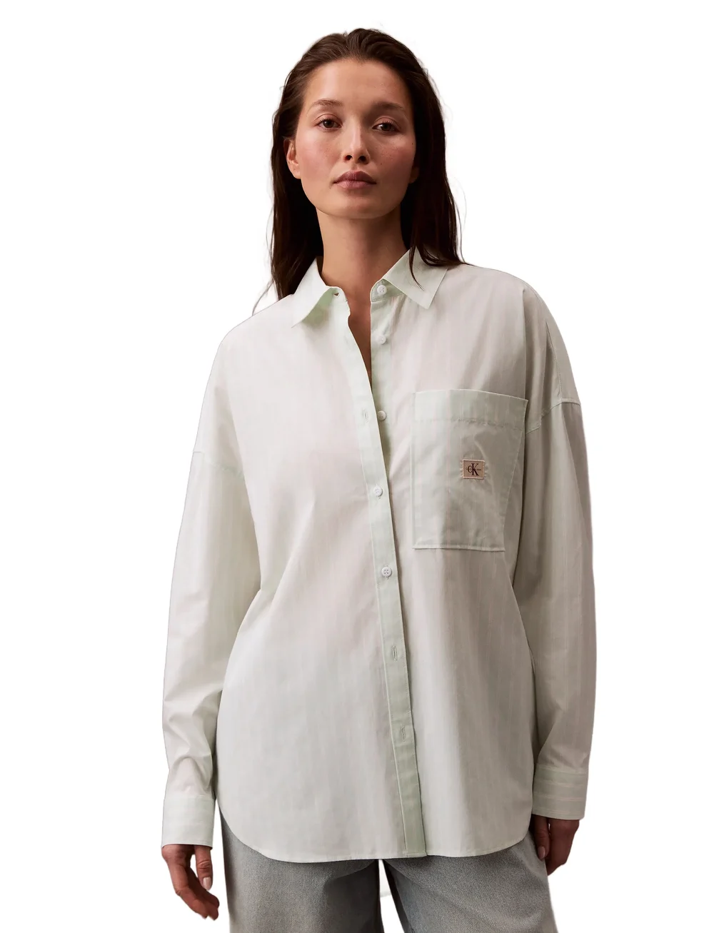 Calvin Klein Jeans - SUMMER POPLIN OVERSIZED SHIRT - långärmade skjortor - moonlight jade stripe - 0