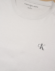 Calvin Klein Jeans - 2 PACK MONOLOGO T-SHIRT - basic t-shirts - lunar rock / travertine - 2