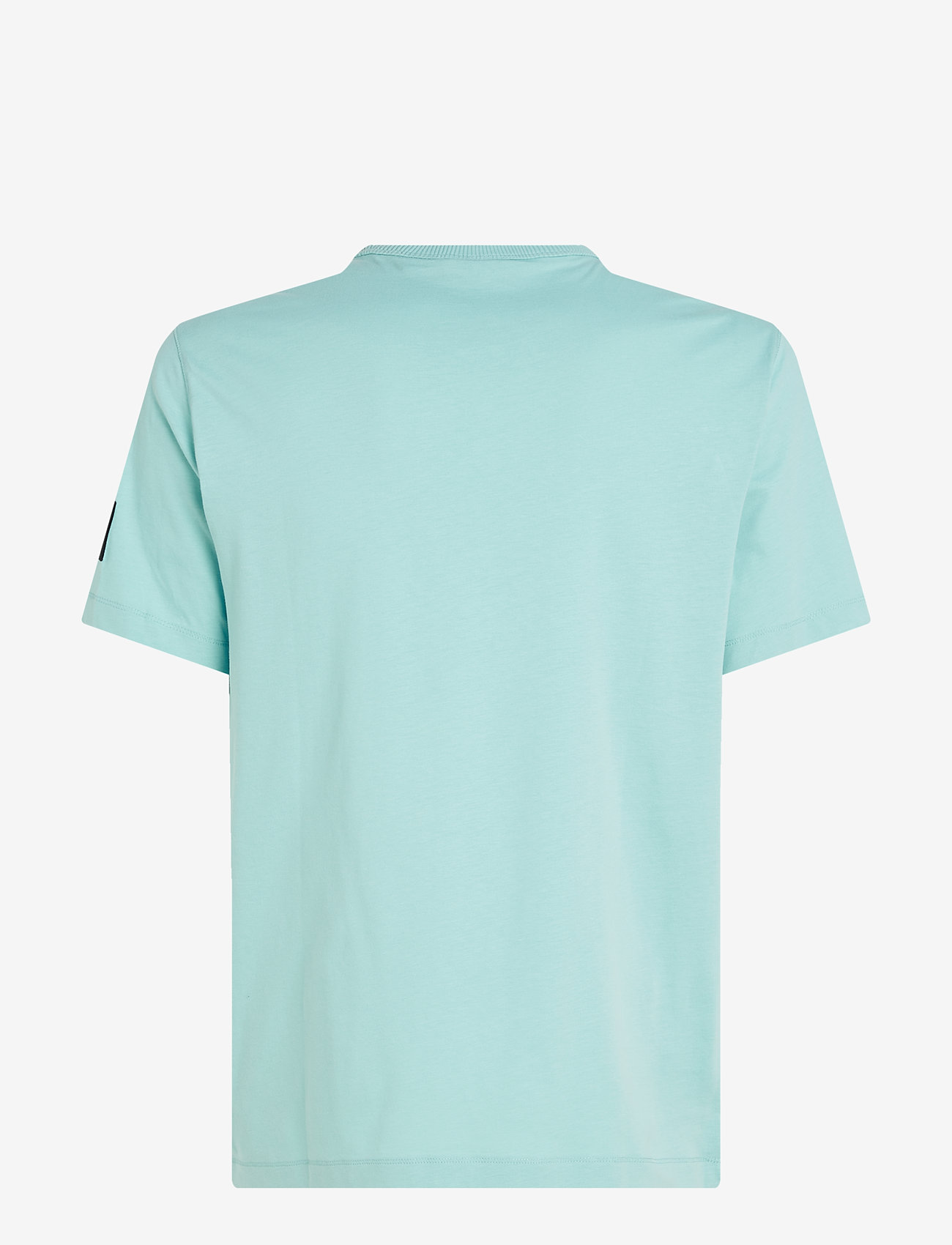 Calvin Klein Jeans - BADGE REGULAR TEE - sügisesed riided - fresh mint - 5