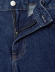 Calvin Klein Jeans - REGULAR SHORT - lühikesed teksapüksid - denim dark - 3