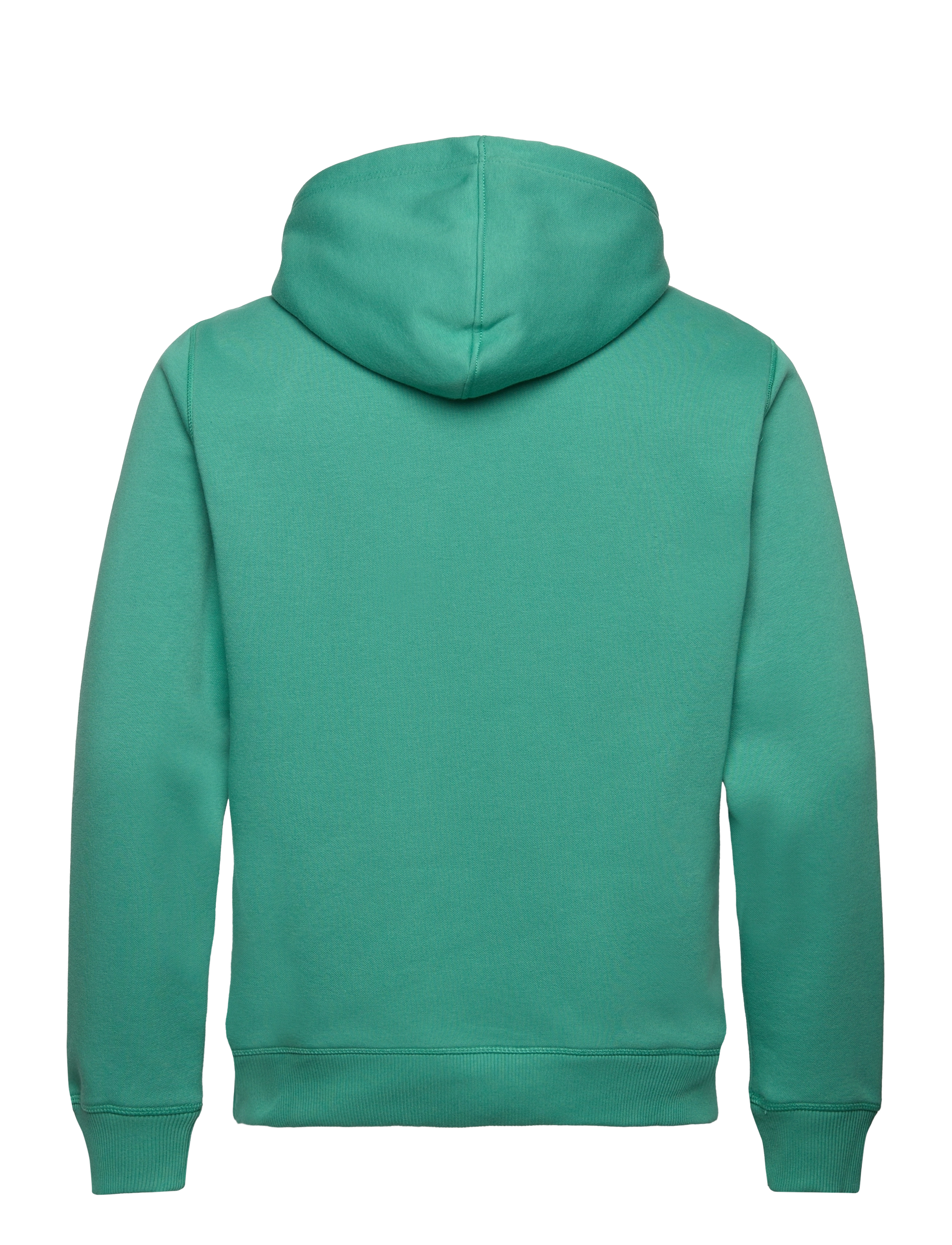 Calvin Klein Jeans - MONOLOGO HOODIE - bahama green - 1