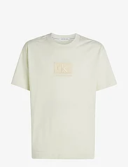 Calvin Klein Jeans - EMBROIDERY PATCH TEE - basic t-shirts - icicle - 0