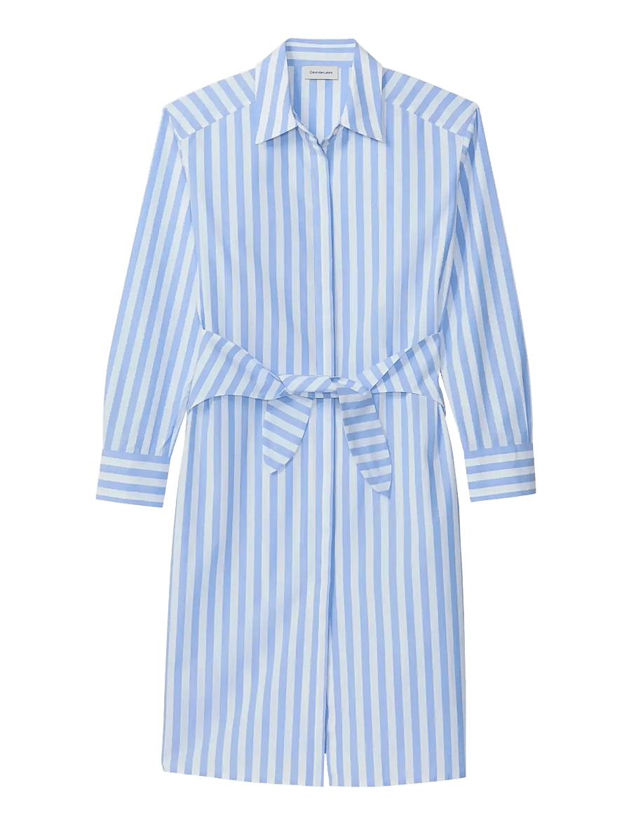 Calvin Klein Jeans - YARNDYE COTTON POPLIN SHIRTDRESS - hemdkleider - blue descent two color wide stripe - 1