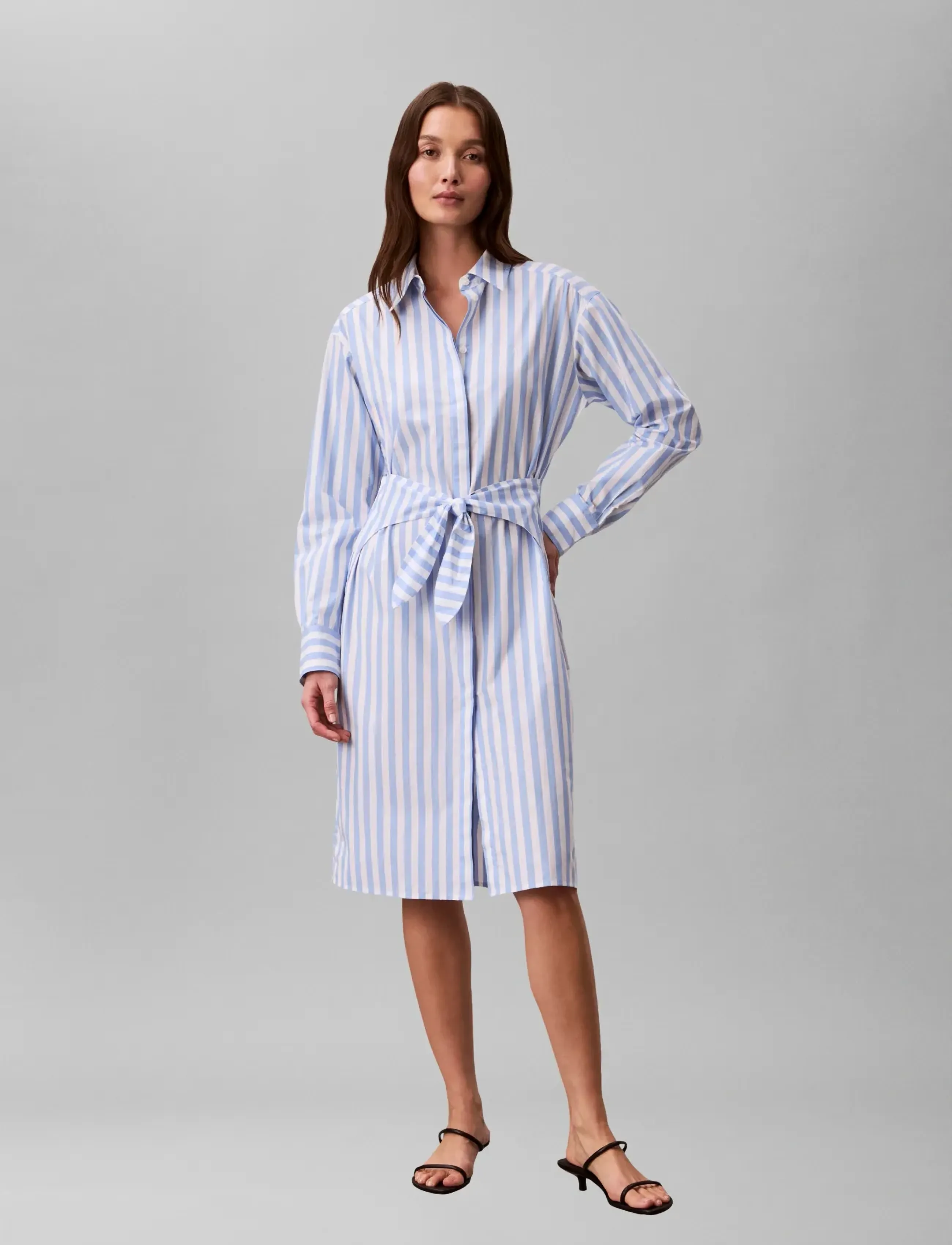Calvin Klein Jeans Yarndye Cotton Poplin Shirtdress, XS, Dresses, Blau - Knee-length & Midi, Frauen
