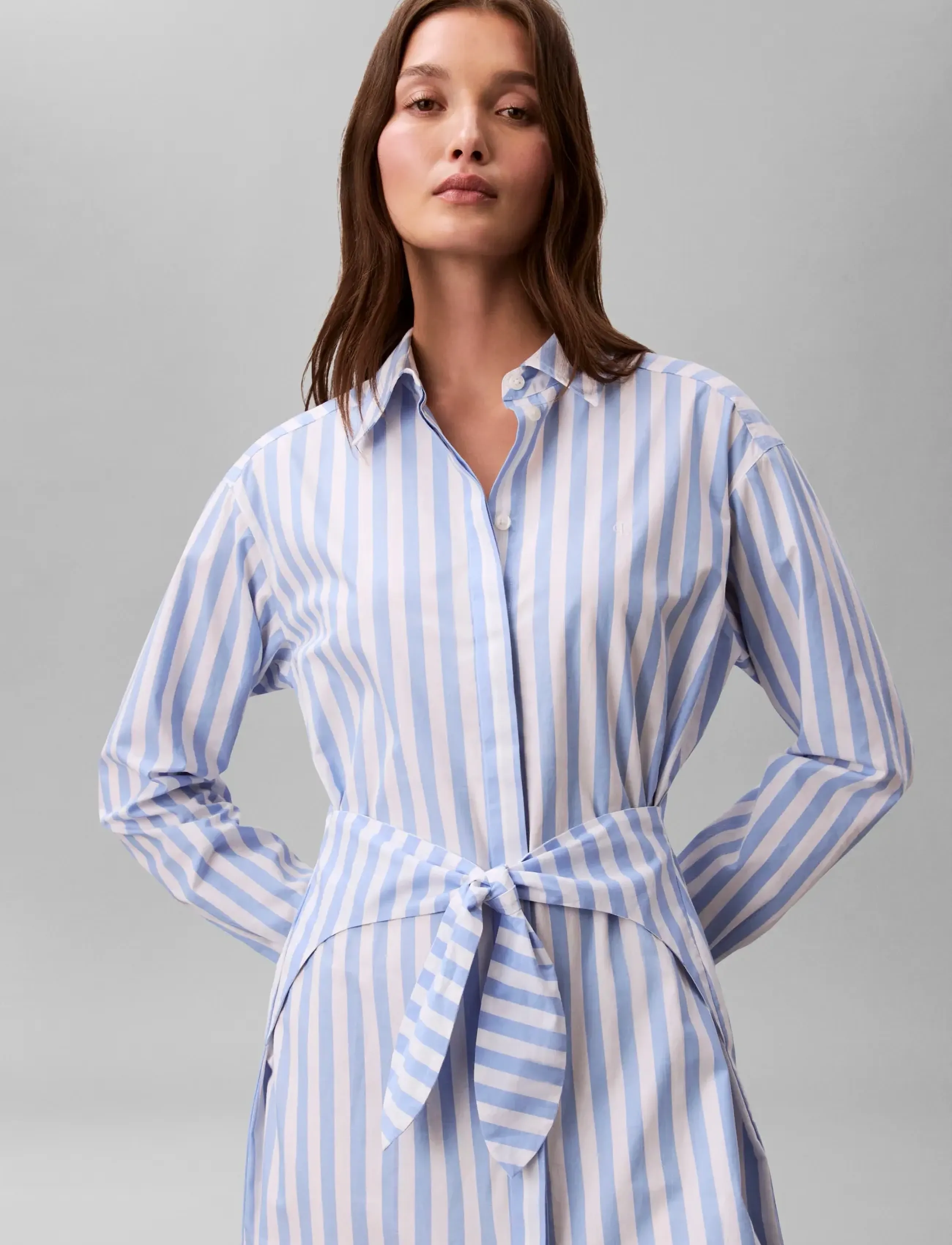 Calvin Klein Jeans - YARNDYE COTTON POPLIN SHIRTDRESS - skyrtukjólar - blue descent two color wide stripe - 2