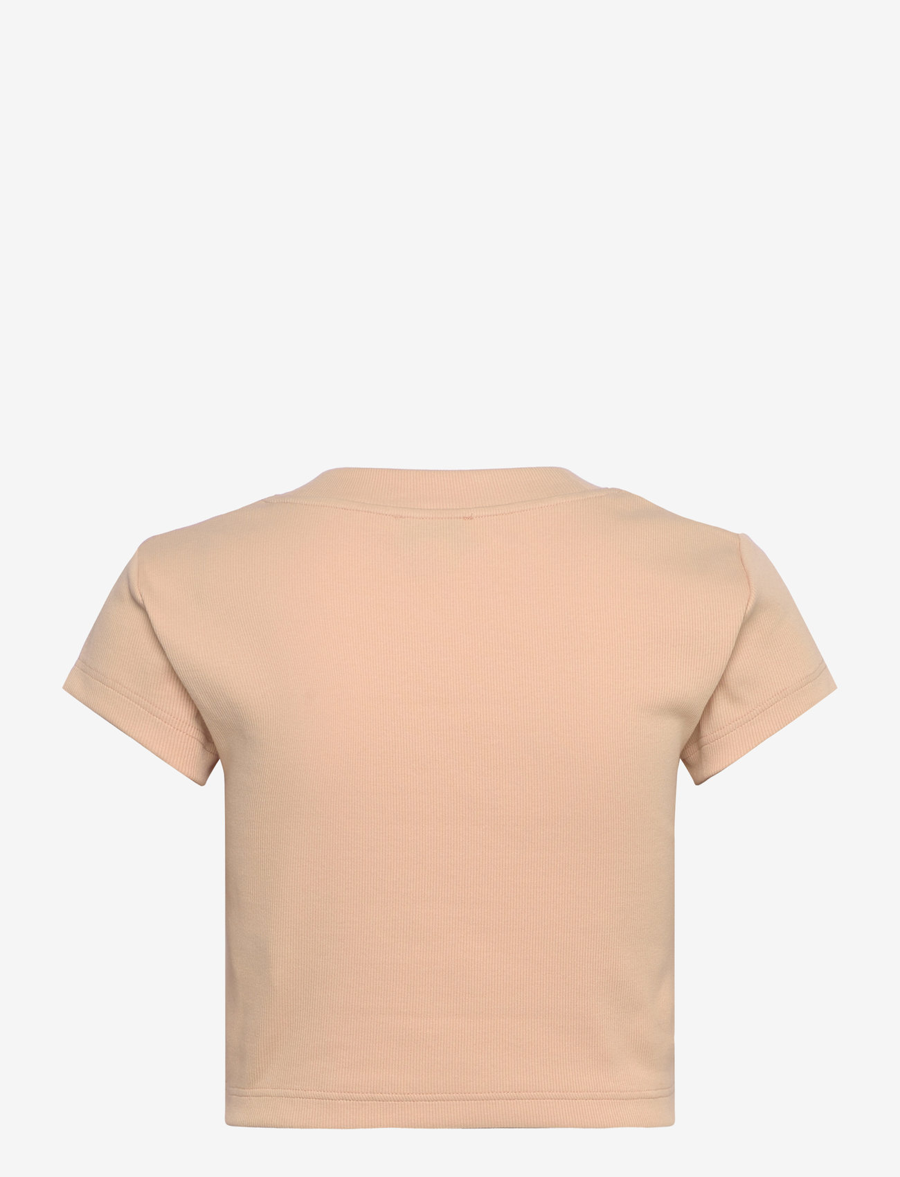 Calvin Klein Jeans - MONOLOGO BABY RIB TEE - crop tops - appleblossom - 2