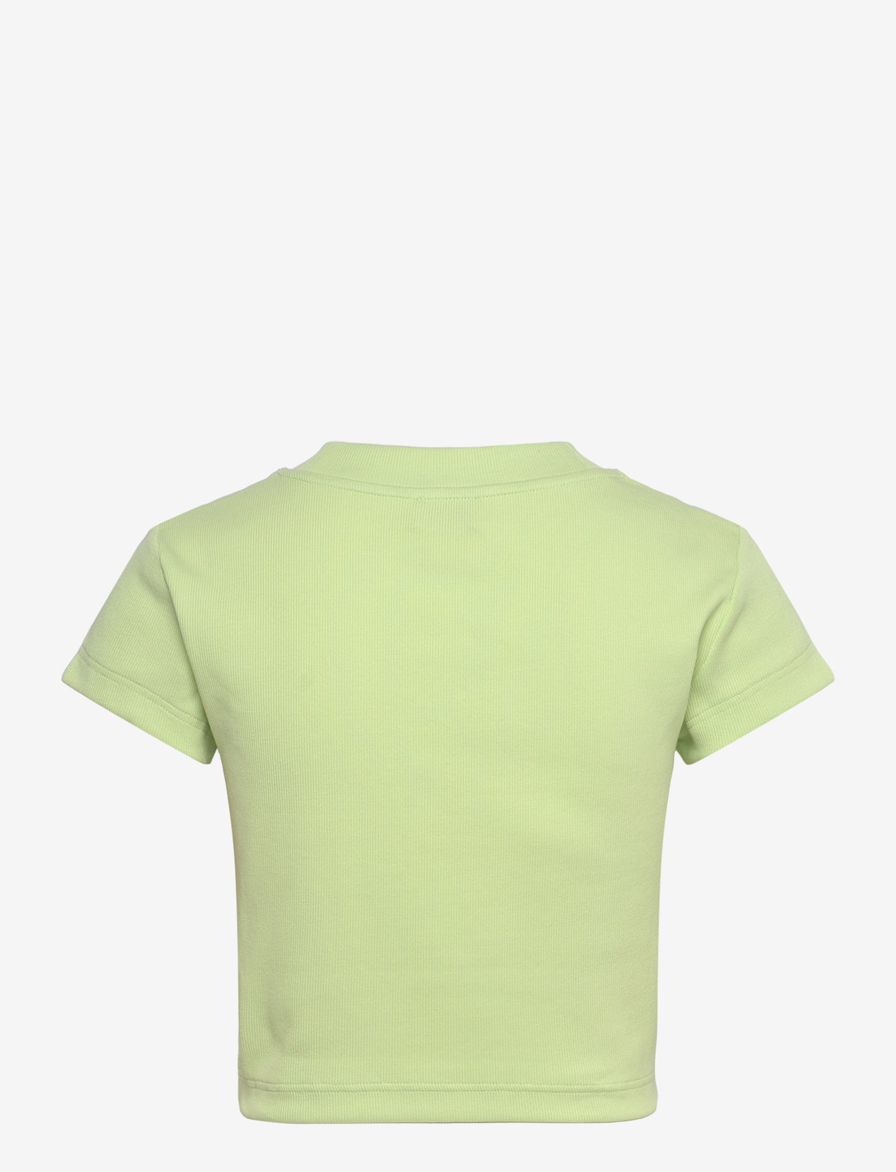 Calvin Klein Jeans - MONOLOGO BABY RIB TEE - crop tops - butterfly - 2