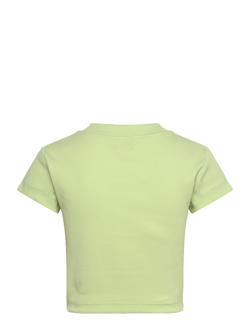 Calvin Klein Jeans - MONOLOGO BABY RIB TEE - crop tops - butterfly - 2