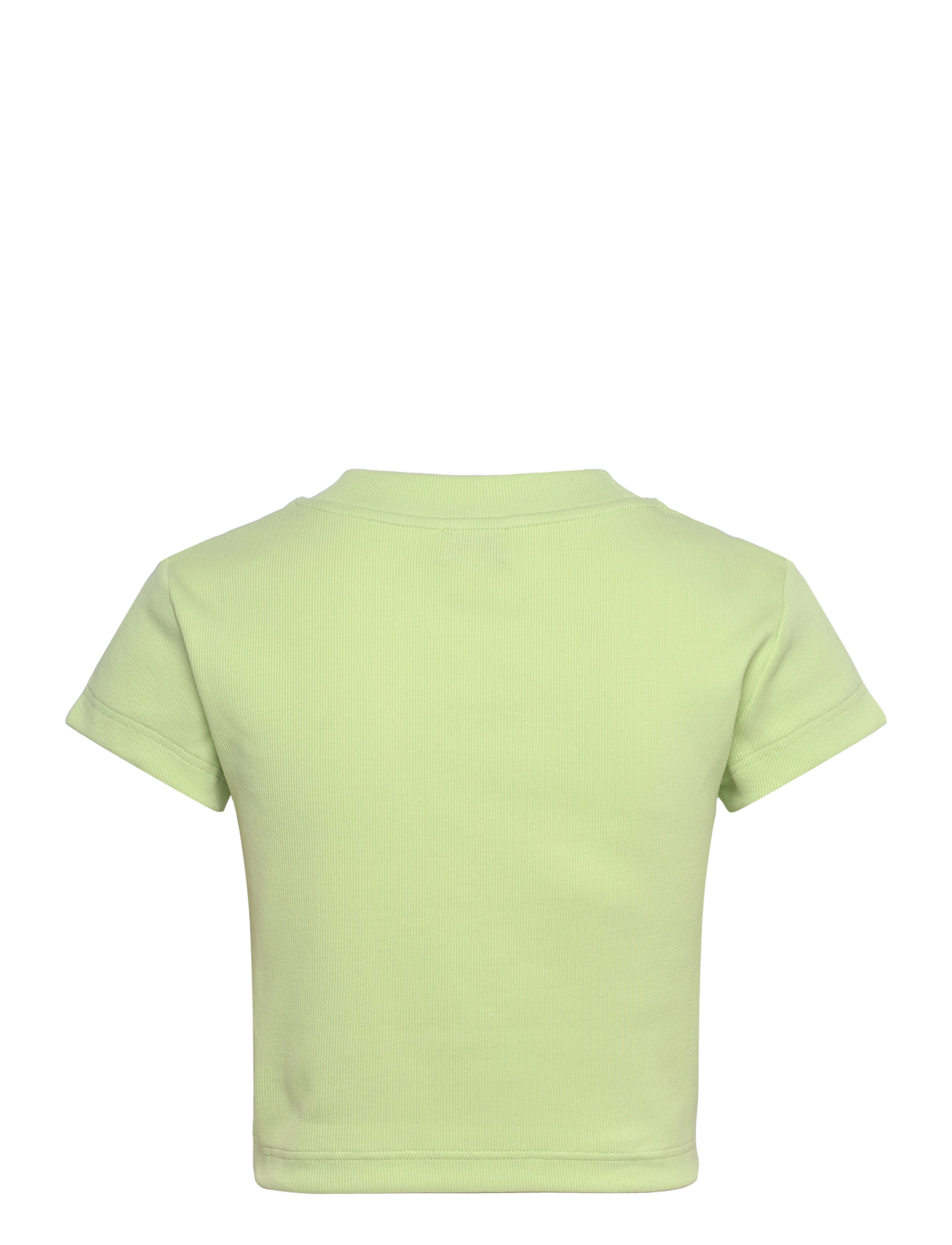 Calvin Klein Jeans - MONOLOGO BABY RIB TEE - crop tops - butterfly - 2