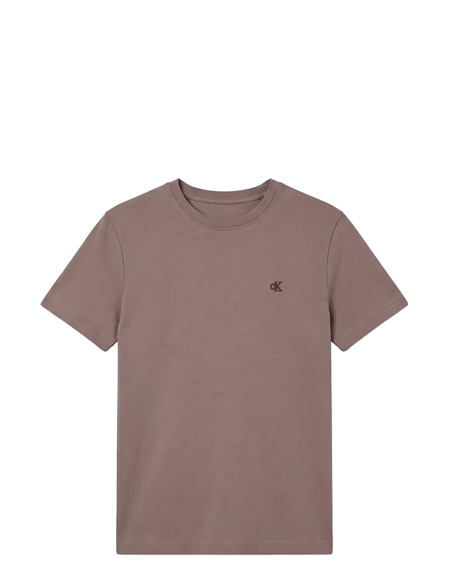 Calvin Klein Jeans - Archive Jersey Crew Tee EU - t-särgid - iron - 1