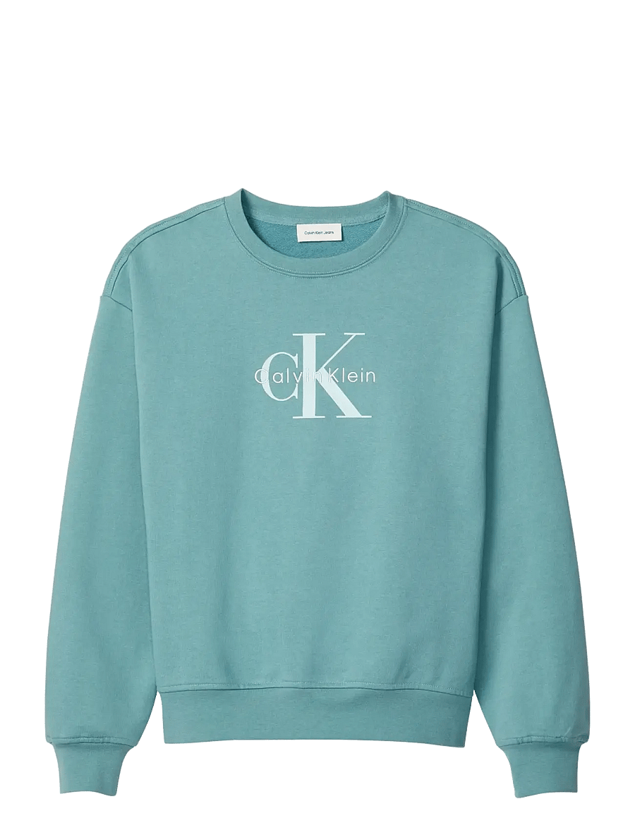 Calvin Klein Jeans - LS MONOLOGO FRENCH TERRY RLXD CR - everyday style - arctic - 1