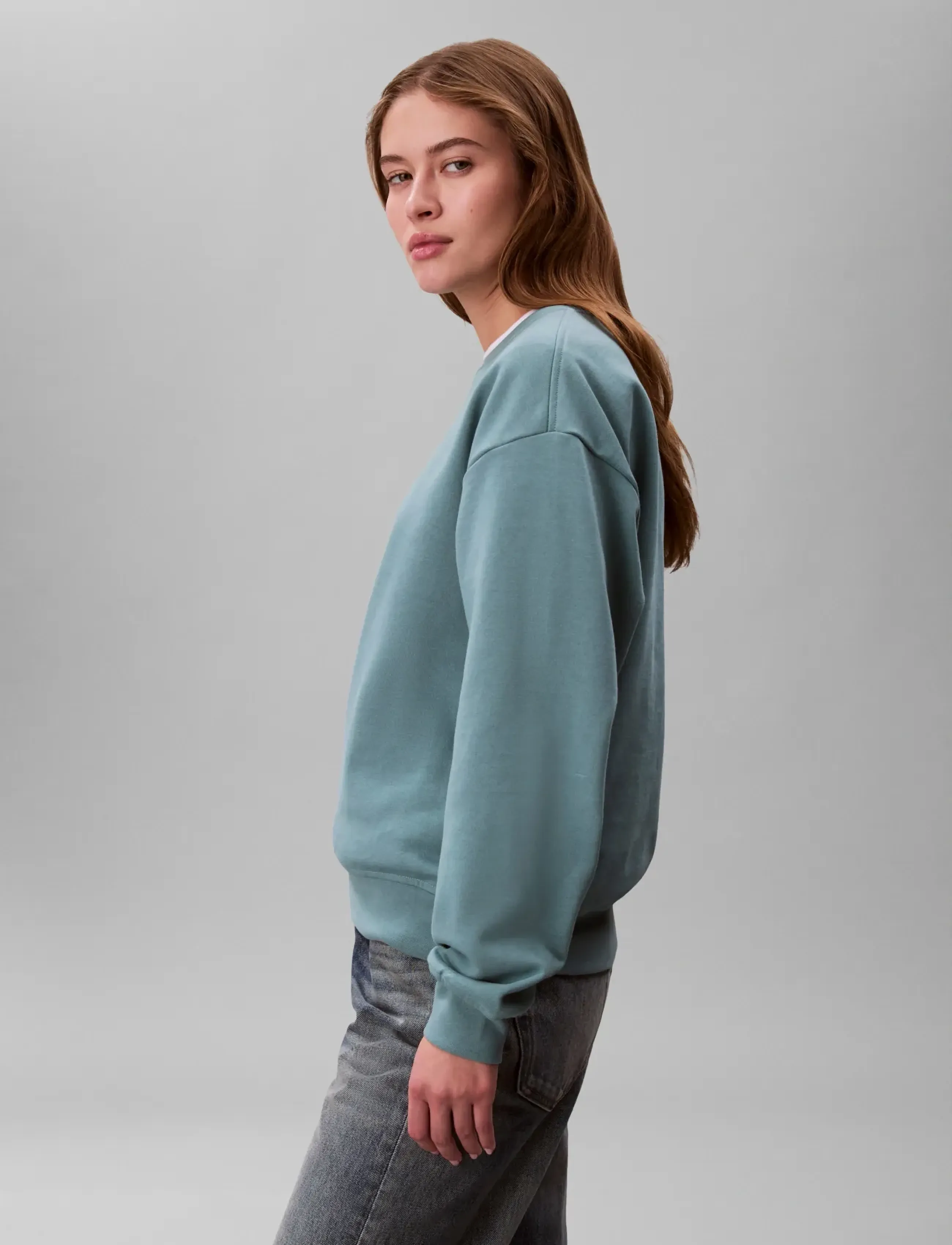 Calvin Klein Jeans - LS MONOLOGO FR TERRY RLXD CREW - hverdags stil - arctic - 5