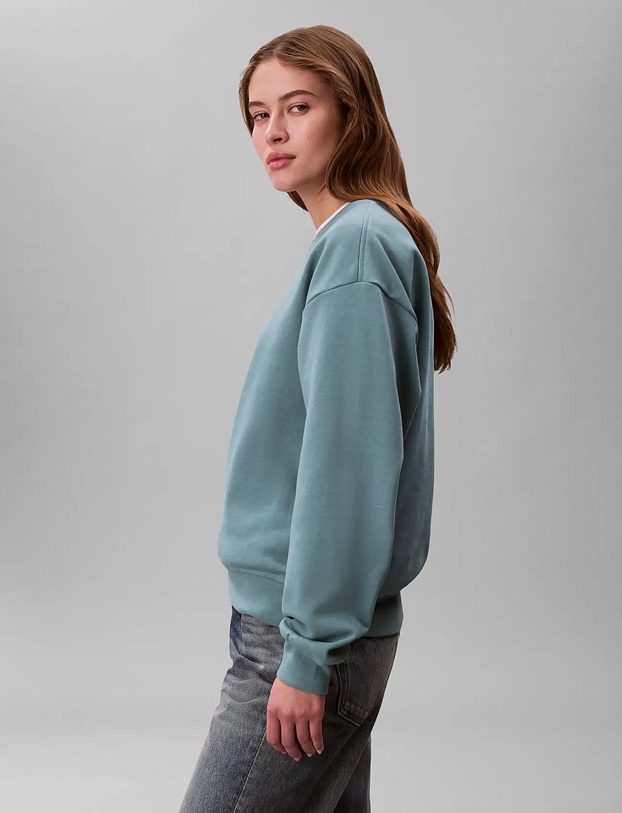 Calvin Klein Jeans - LS MONOLOGO FRENCH TERRY RLXD CR - everyday style - arctic - 5