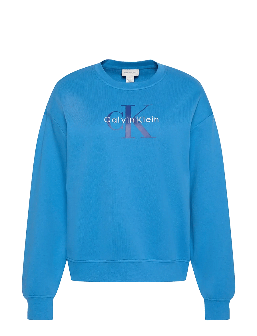 Calvin Klein Jeans - LS MONOLOGO FRENCH TERRY RLXD CR - igapäevane stiil - winter blue - 1