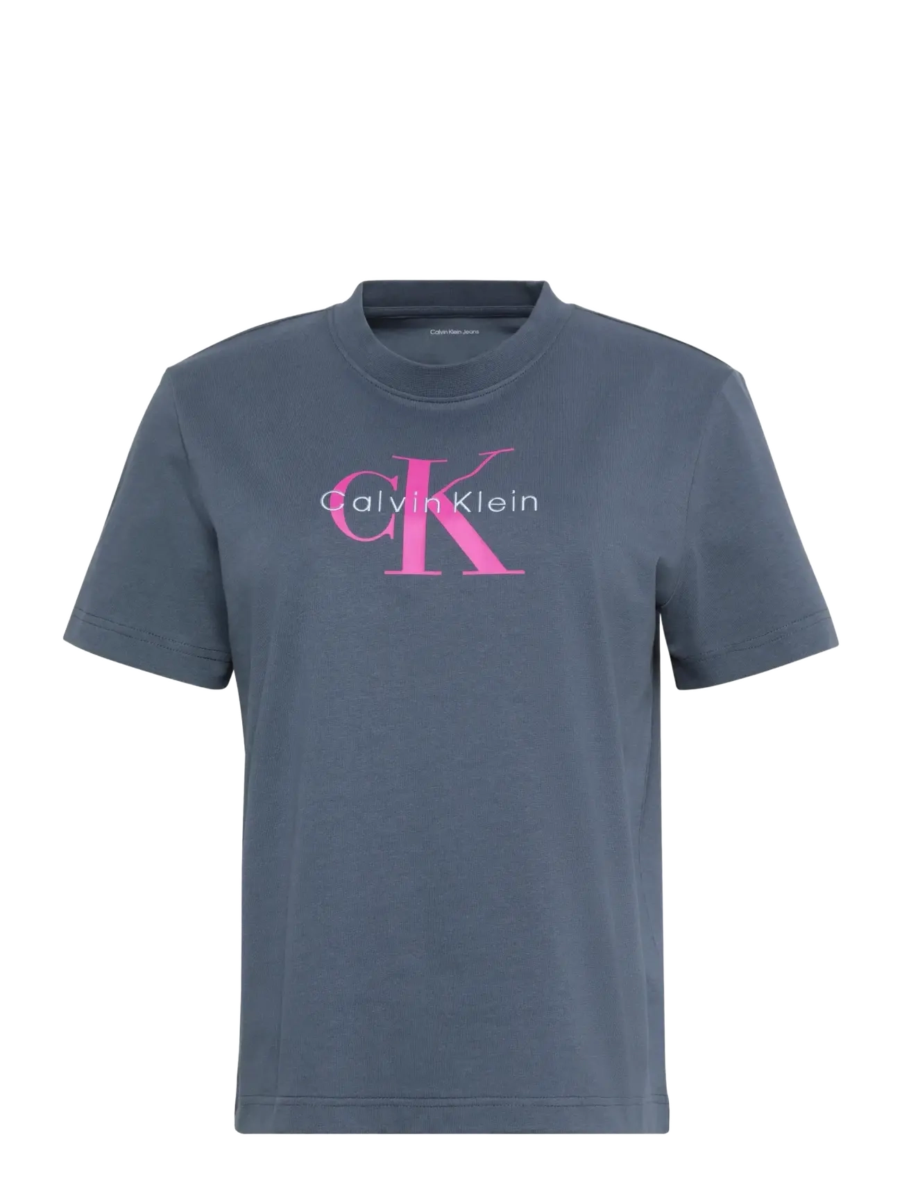 Calvin Klein Jeans HERO SS CLASSIC MONOLOGO CNECK T - Basplagg - TURBULENCE / grey