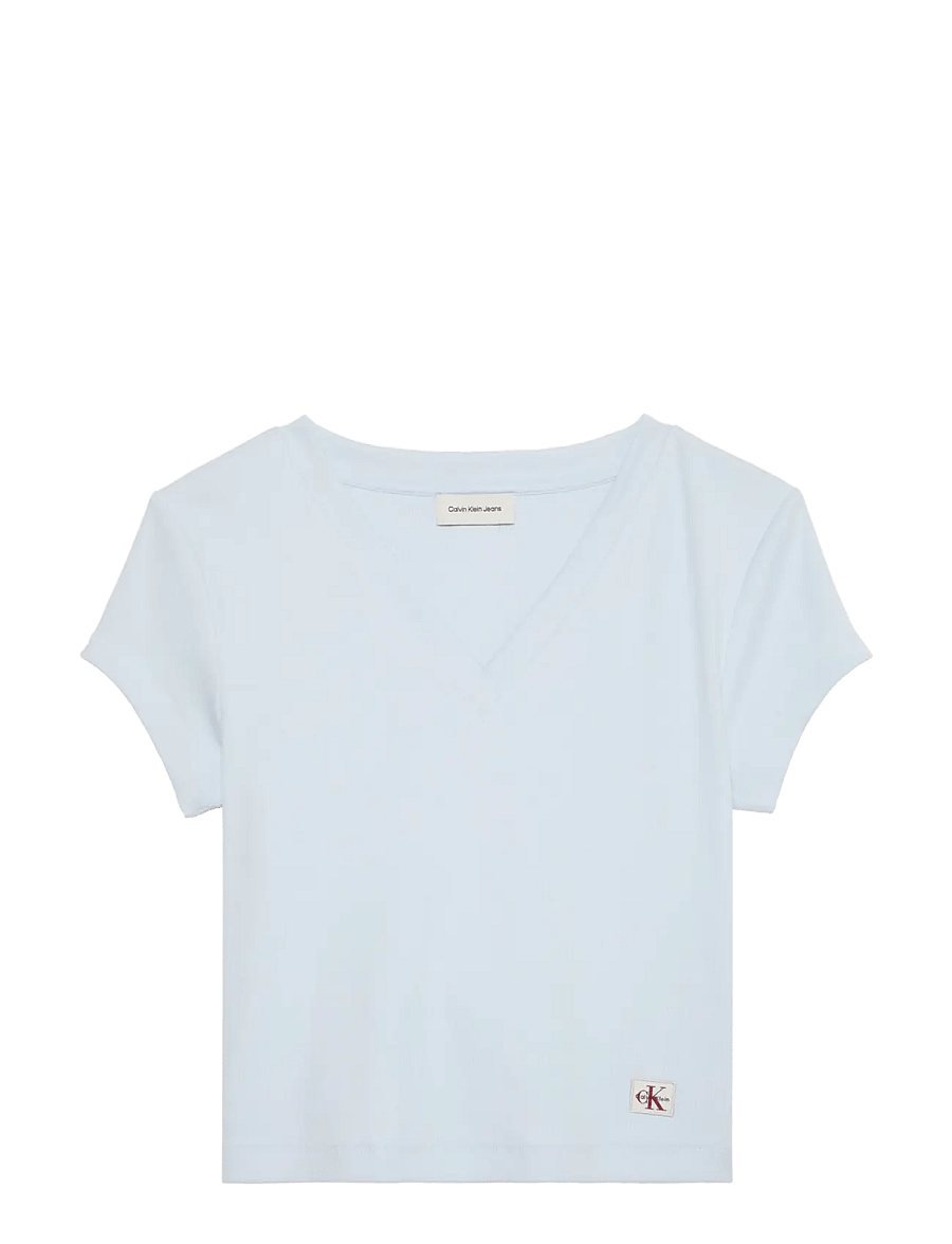 Calvin Klein Jeans - SS HERITAGE LABEL VNECK TEE - t-särgid - plein air - 1