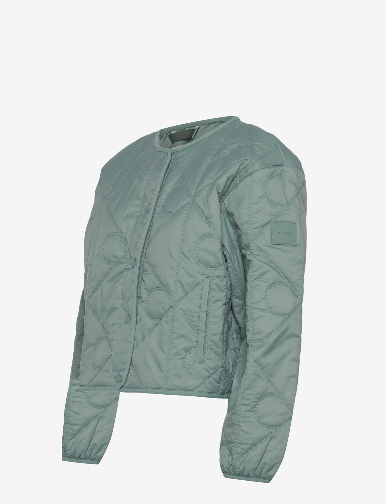 Calvin Klein Jeans - LIGHTWEIGHT AOP QUILTED LINER - frühlingsjacken - autumn green - 2