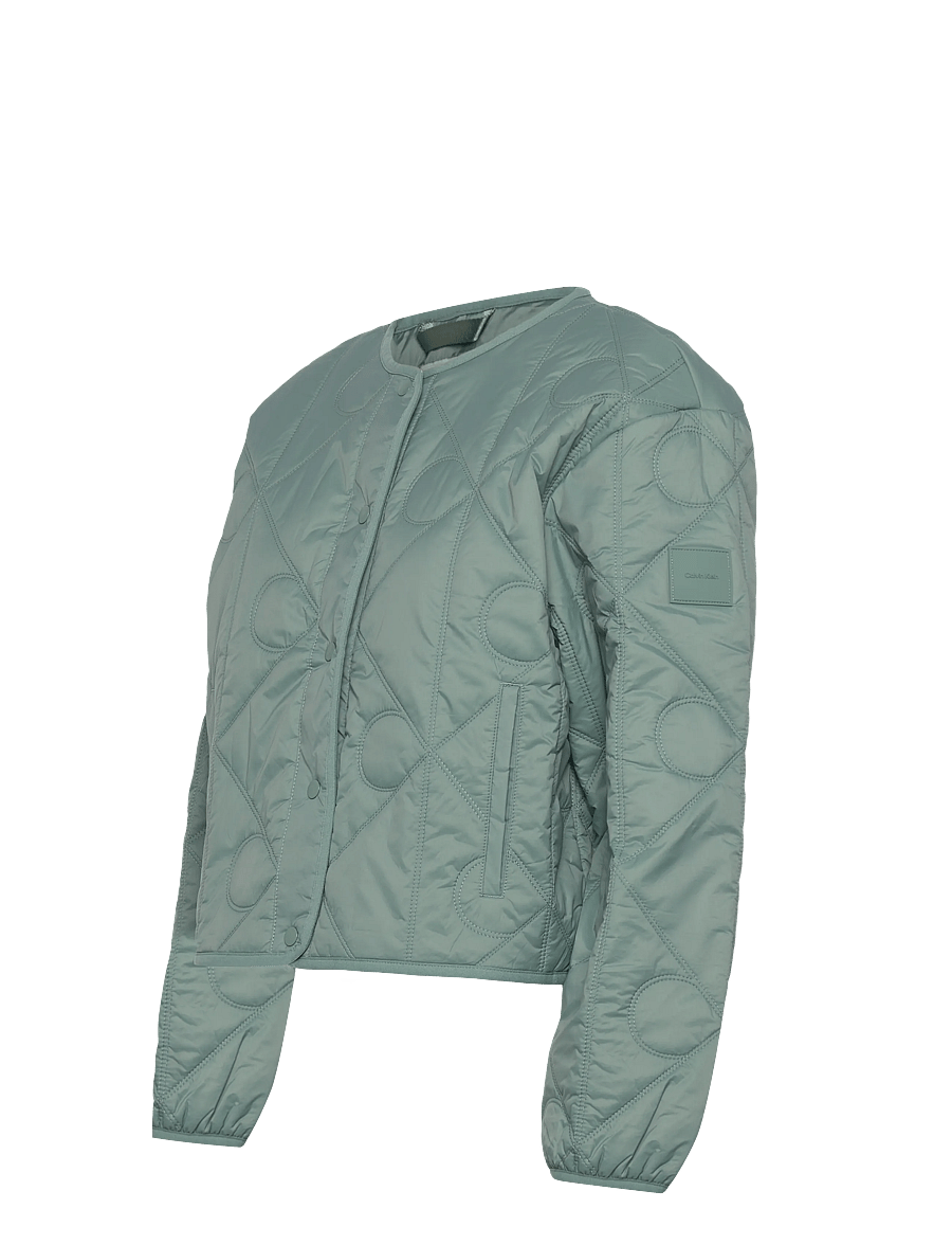 Calvin Klein Jeans - LIGHTWEIGHT AOP QUILTED LINER - vårjackor - autumn green - 2