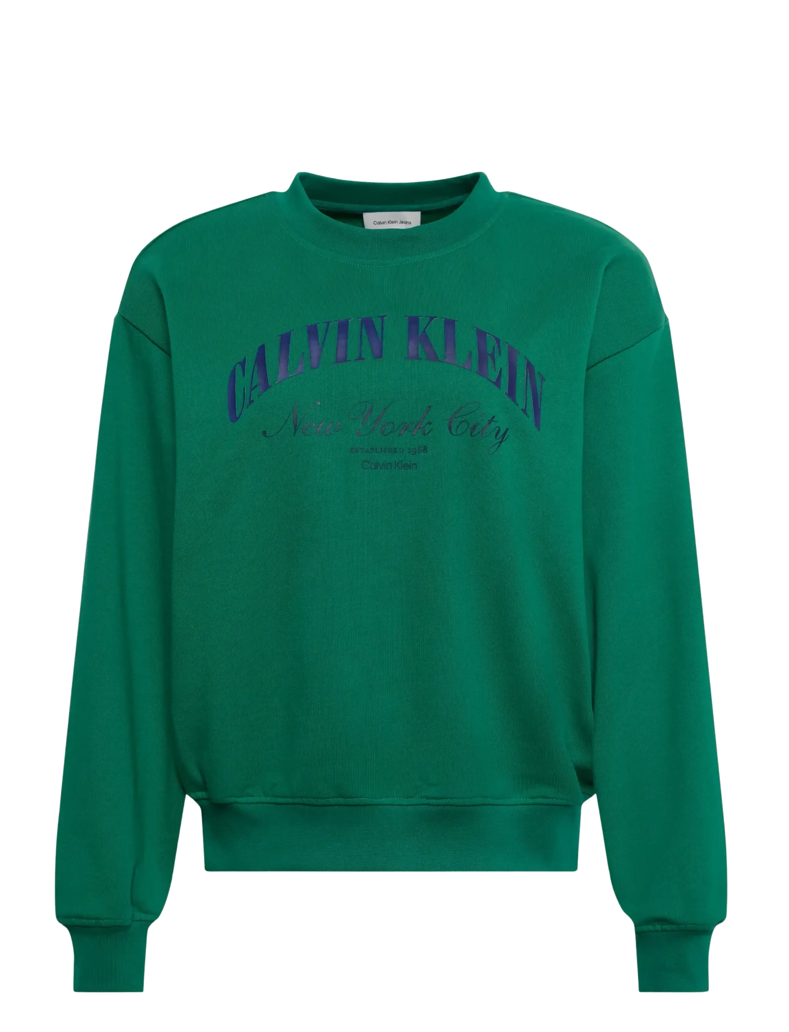Calvin Klein Jeans LOGO GRAPHIC CREWNECK SWEATSHIRT - Pusad ja dressipluusid - ENCHANTED FOREST / green