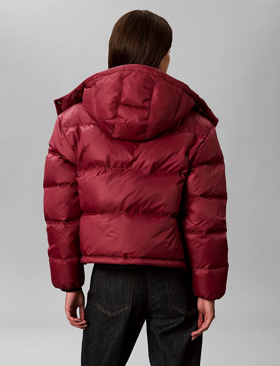 Calvin Klein Jeans - ESSENTIAL MW SHORT DOWN PUFFER - winterjacken - rhododendron - 2