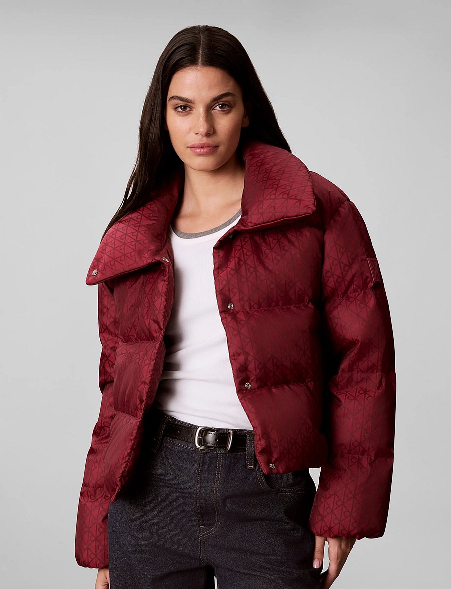 Calvin Klein Jeans - AOP JACQUARD SHORT DOWN PUFFER - vinterjakker - rhododendron ck emblem jacquard - 3