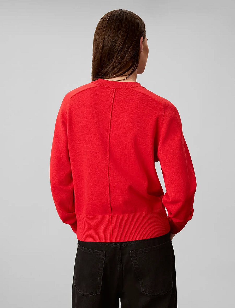 Calvin Klein Jeans - WOVEN LABEL PULLOVER - striktrøjer - goji berry - 2