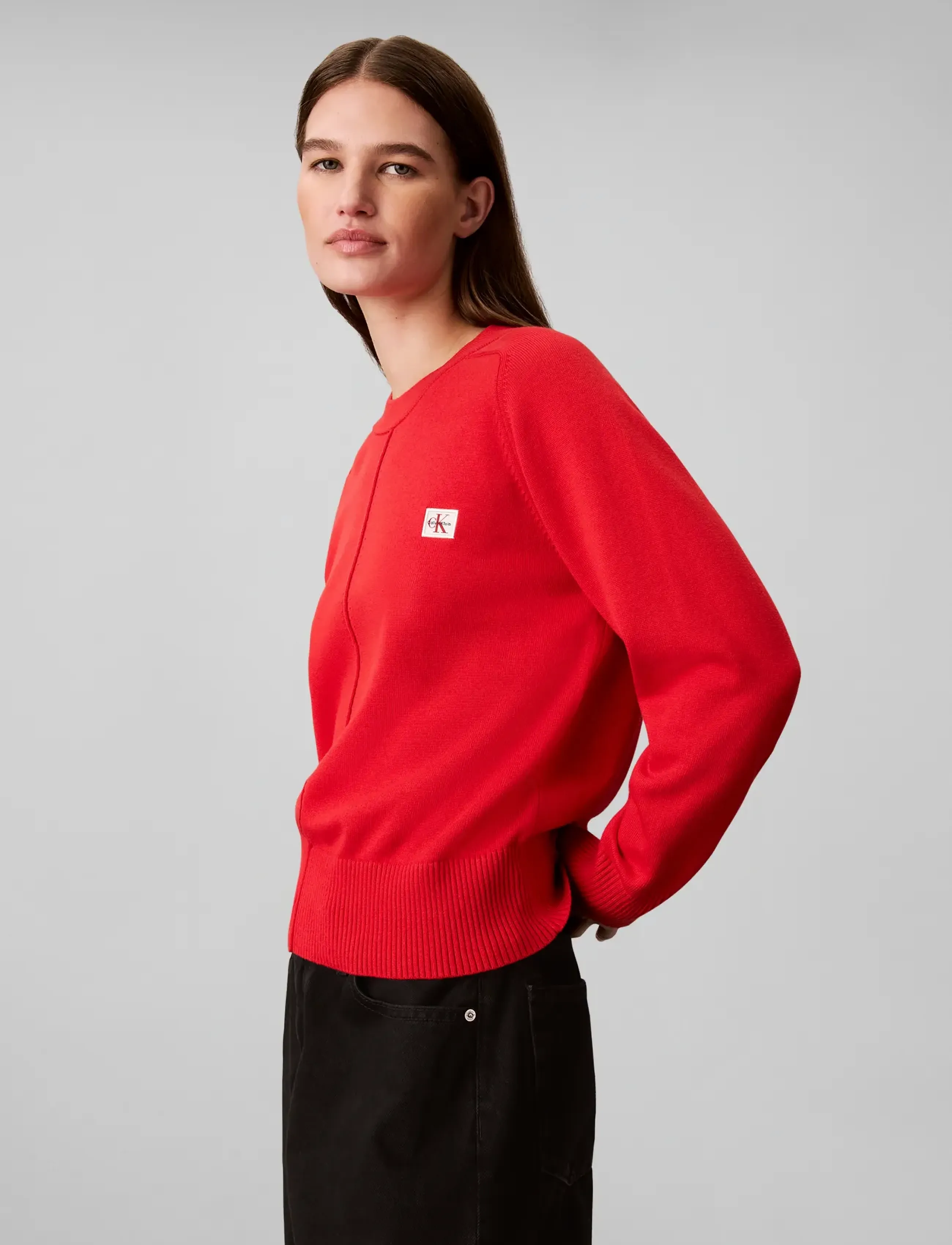 Calvin Klein Jeans - WOVEN LABEL PULLOVER - striktrøjer - goji berry - 5