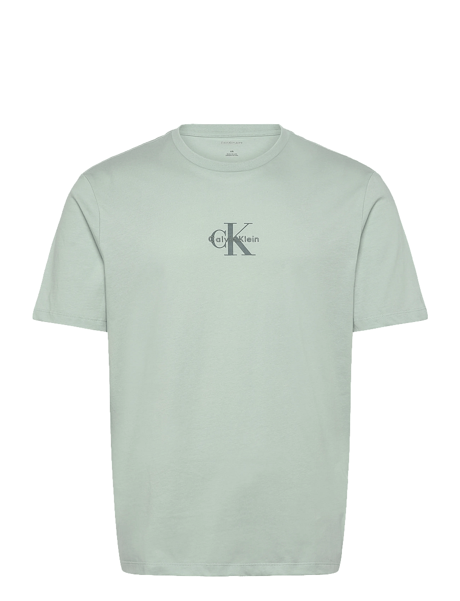 Calvin Klein Jeans - SS 30S MICRO MONOLOGO TEE - kortærmede t-shirts - pale meadow - 1