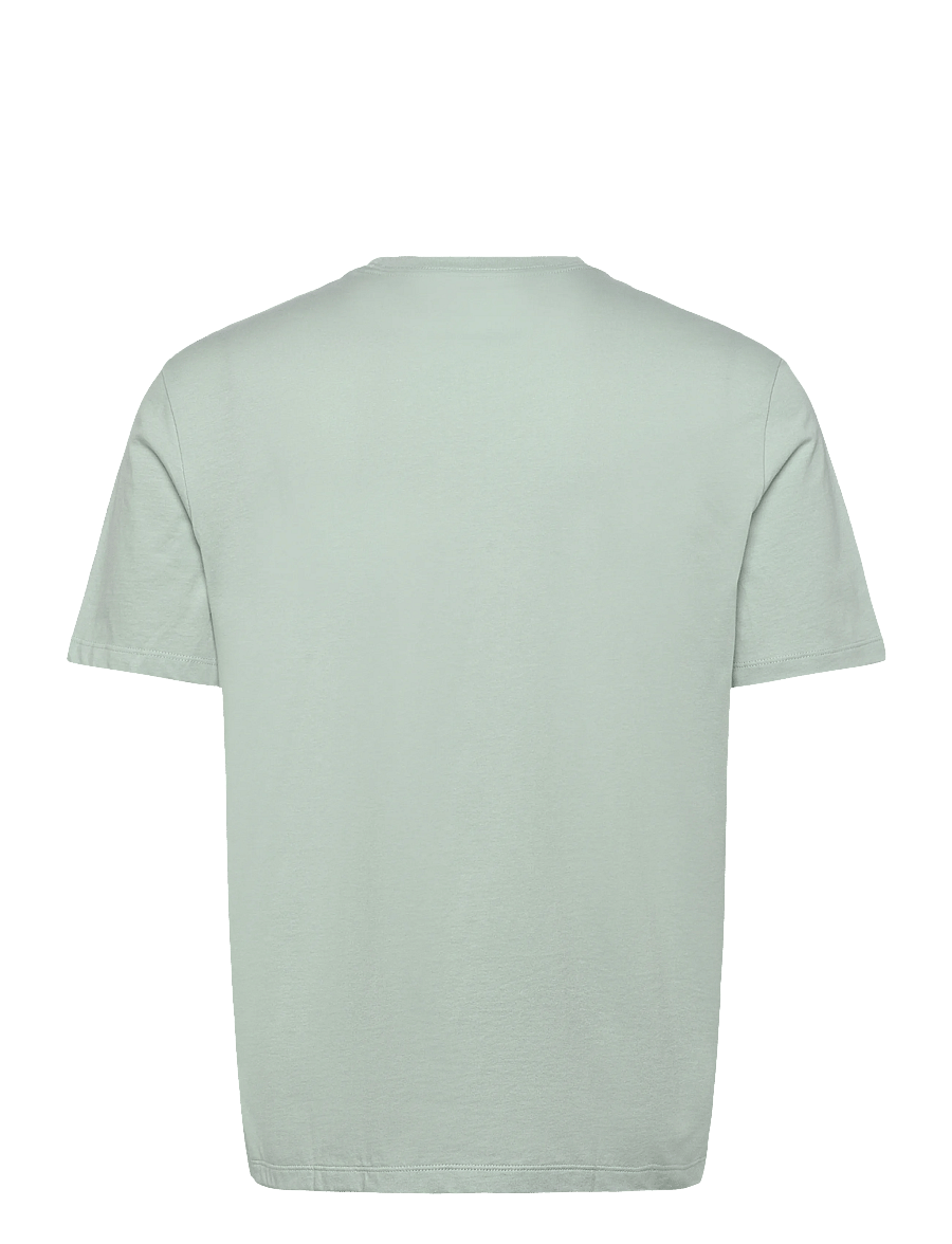 Calvin Klein Jeans - SS 30S MICRO MONOLOGO TEE - kortærmede t-shirts - pale meadow - 2